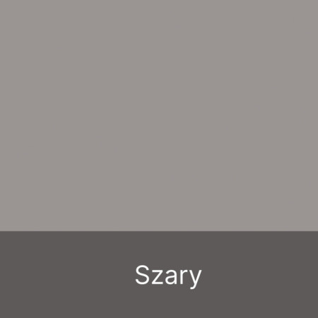 Szafa Biurowa Socjalna na Ubrania P-2PDR z Drążkiem na Wieszaki Szeroka Wysoka 215 cm - Szerokość: 60 cm - Głębokość: 53 cm - Rodzaj frontów: Mat - Rodzaj zamknięcia: Bez zamka - Kolor: Szary Arktyczny - Kolor uchwytów: Uchwyty srebrne