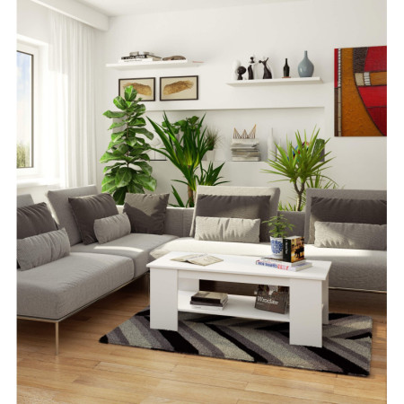 Ława kawowa MAULE 120x50 cm z półką, nowoczesna do salonu - Kolor: Biały