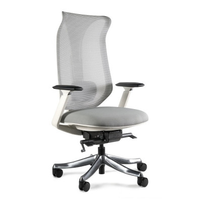 Fotel ergonomiczny FOCUS II z mechanizmem SYNCHRON - Rodzaj Obicia: Tkanina - Kolor Obicia: Szary ST - Kolor Stelaża: Szary