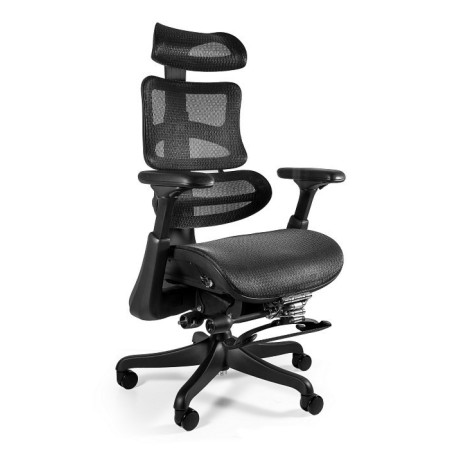 Fotel ergonomiczny ERGOTHRONE z podnóżkiem – siatka, Synchron, podłokietniki 5D, podstawa aluminiowa