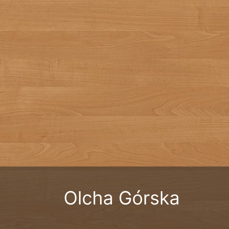 Regał do Biura i Salonu Szeroki S-N na Segregatory i Książki Niski 83 cm - Szerokość: 60 cm - Głębokość: 53 cm - Kolor: Olcha Górska