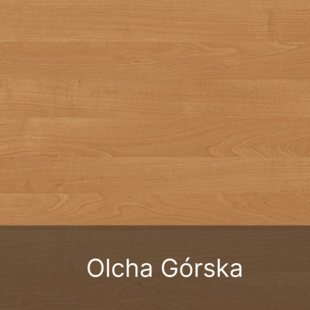 Regał do Biura i Salonu Szeroki S-N na Segregatory i Książki Niski 83 cm - Szerokość: 60 cm - Głębokość: 53 cm - Kolor: Olcha Górska