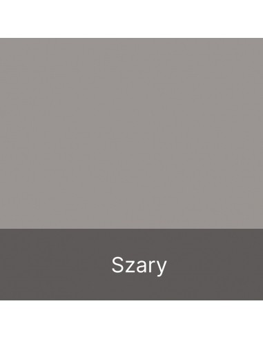 Szafka Biurowa P-PN Komoda Wąska Niska na Dokumenty 110 cm Szara Szafka Biurowa P-PN Komoda Wąska Niska na Dokumenty 110 cm Szara